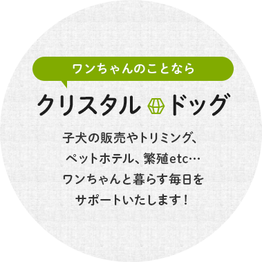 子犬の販売やトリミング、ペットホテル、繁殖etc…ワンちゃんと暮らす毎日をサポートいたします！